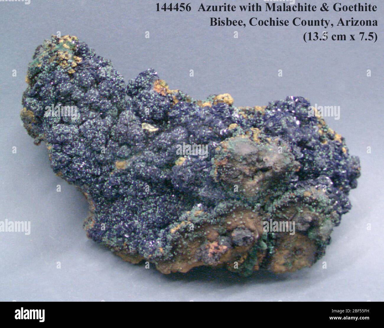 Azurita con malaquita y goetita (NMNH 144456-00) de la Colección Nacional de Minerales. Foto de stock