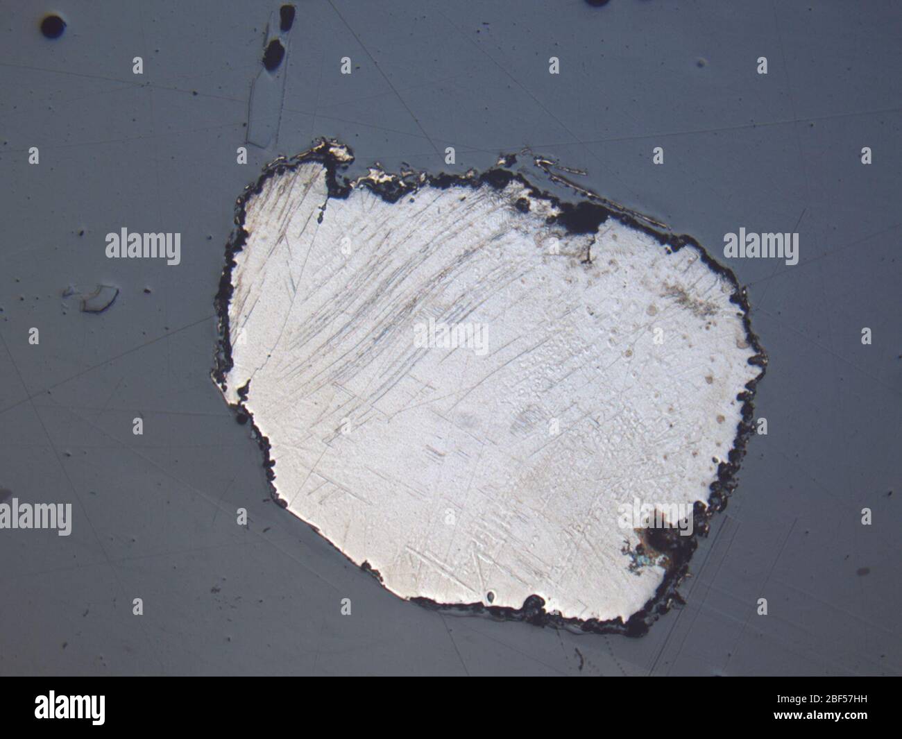 Micrografo DE meteorito LAP 03916,2 bajo luz reflejada a una ampliación de 1,25x. Foto de stock