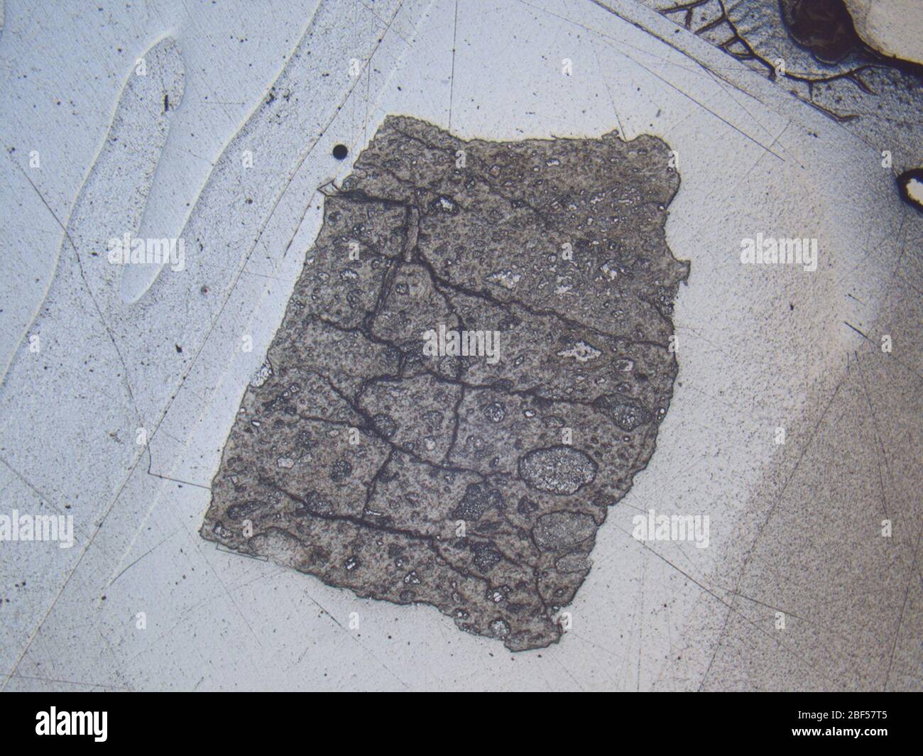 Micrografo de meteorito LEW 88003,3 bajo luz reflejada a una ampliación de 1,25x. Foto de stock