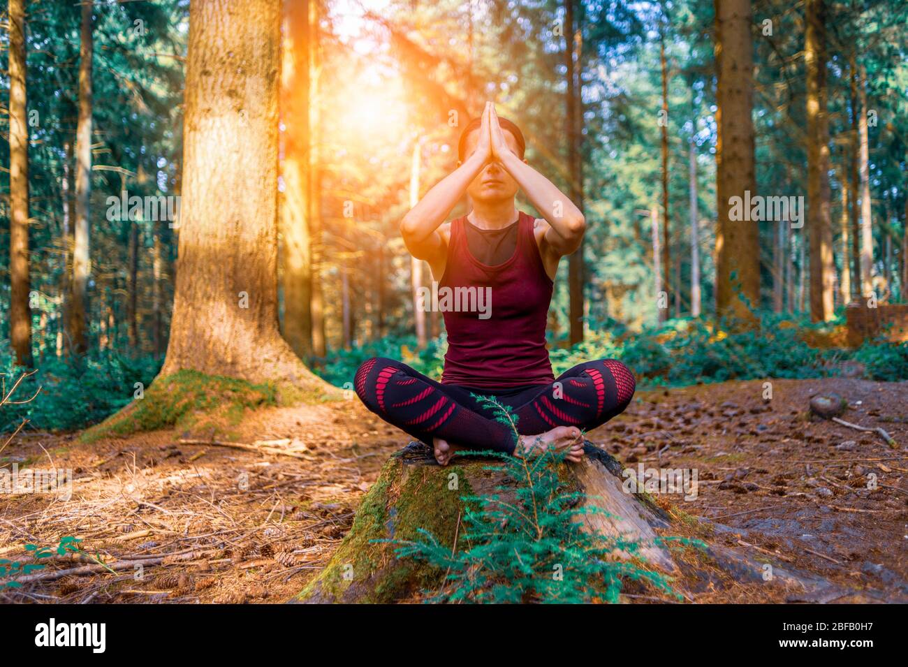 Mujer meditando en el entorno del bosque, yoga matutino en el bosque. Foto de stock
