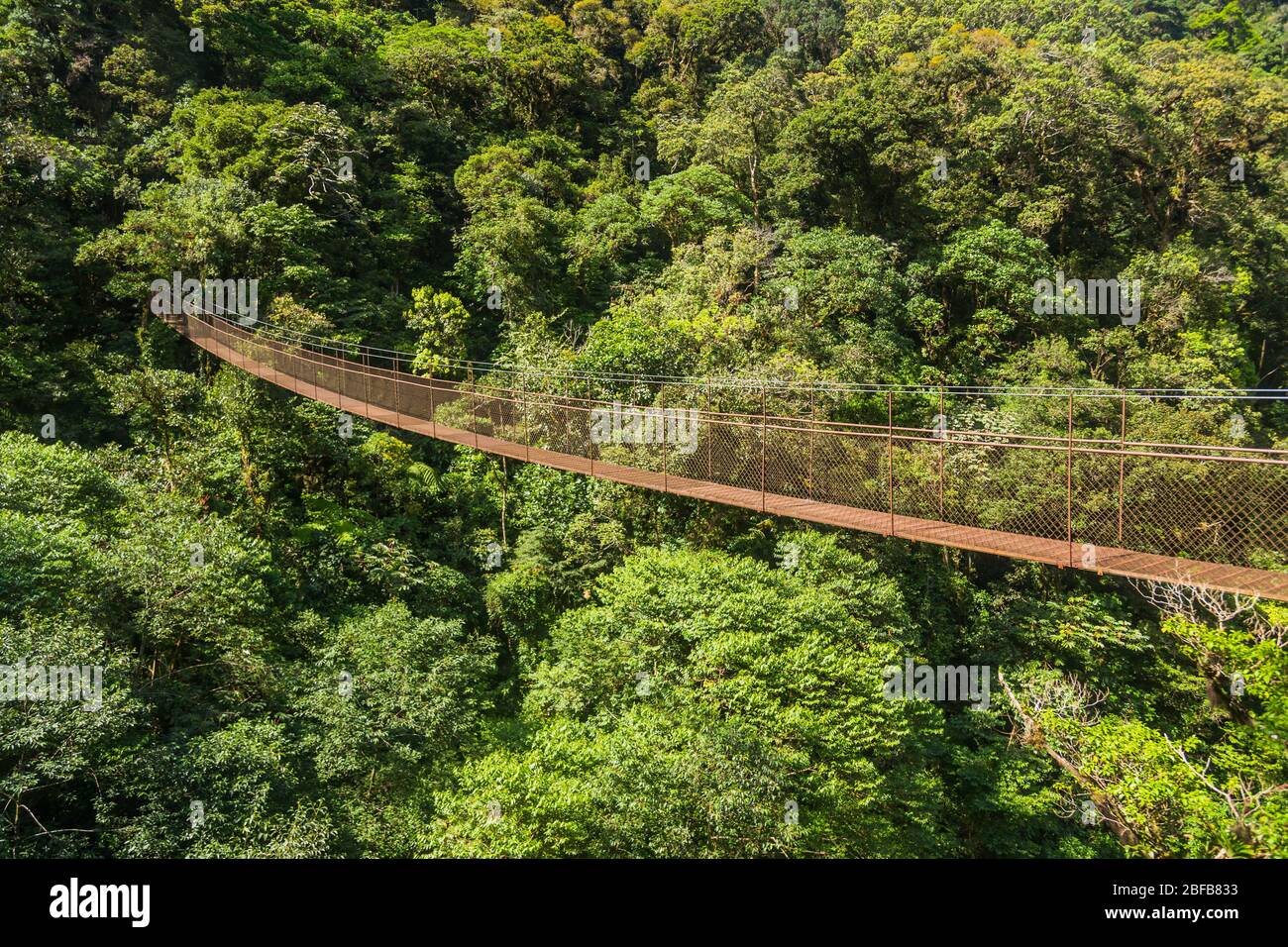 carpintero Automáticamente rural Antiguo puente colgante en la jungla de Panamá Fotografía de stock - Alamy
