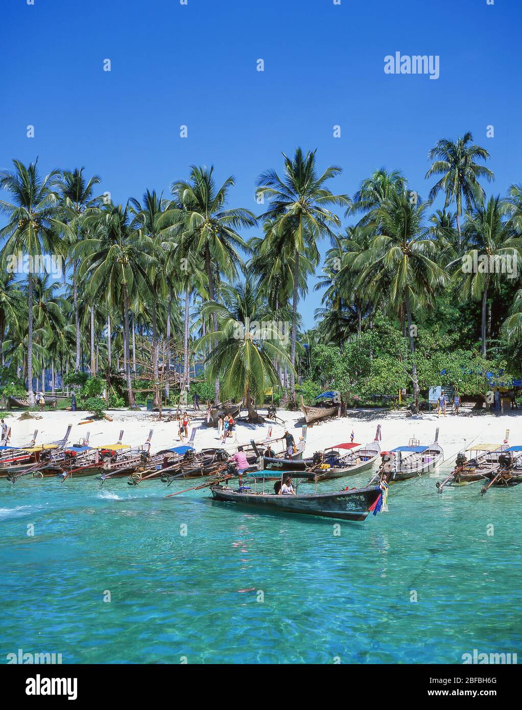 Barcos de cola larga en la playa, Ko Phi-Phi Don, Islas Phi Phi, Provincia de Krabi, Tailandia Foto de stock