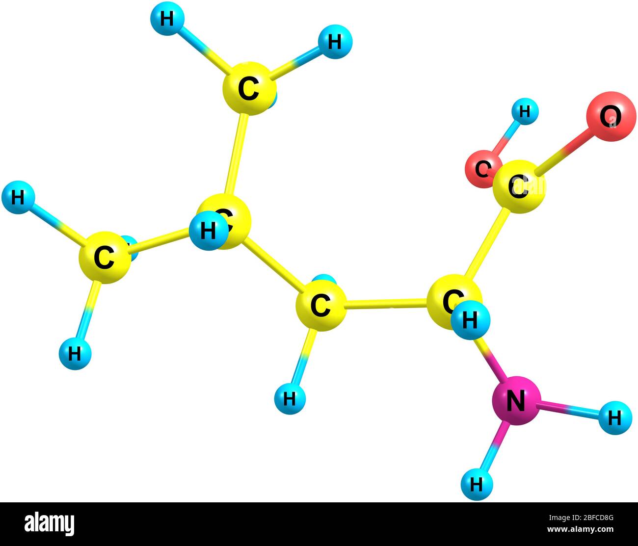 La leucina, Leu, es un alfa-aminoácido de cadena ramificada, clasificado  como hidrófobo debido a la cadena lateral de isobutílico Fotografía de  stock - Alamy