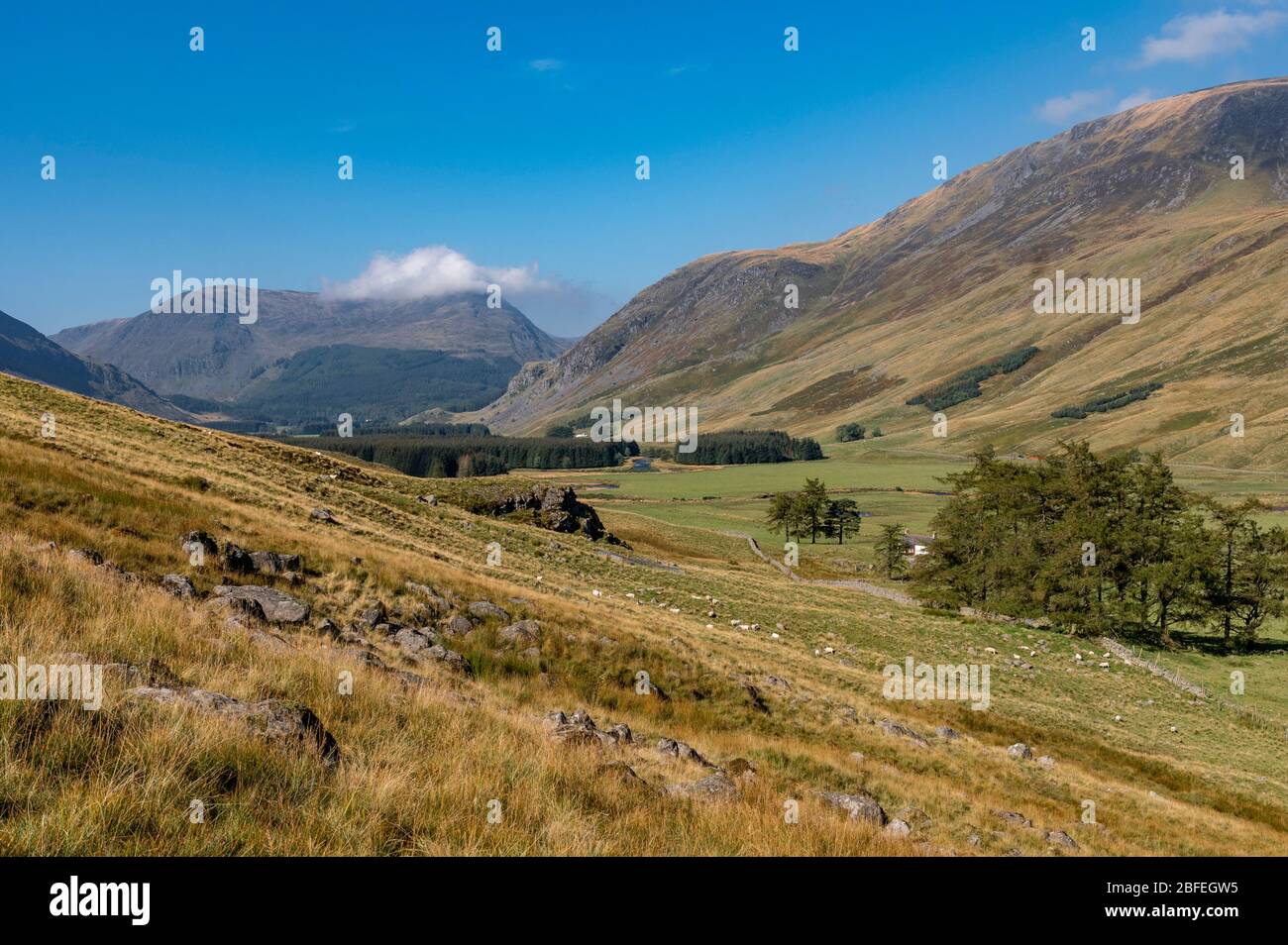 Valle glaciar de Glen Clova, Angus Foto de stock