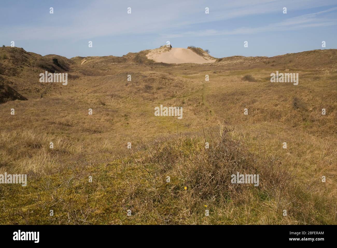 Duna cubierta de hierba y pico descubierto en la reserva natural Merthyr Mawr Foto de stock