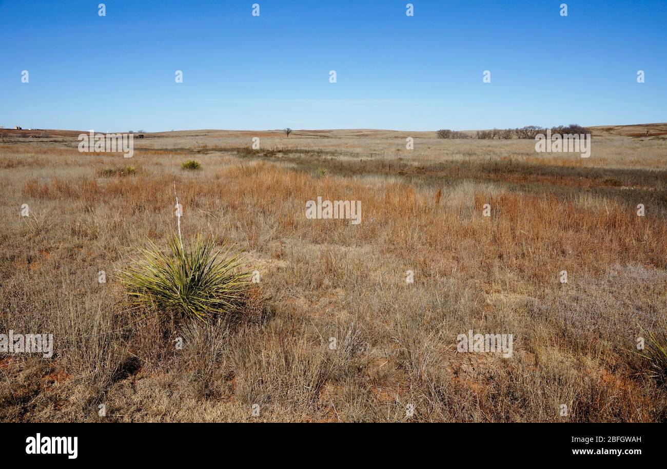 Black kettle national grasslands fotografías e imágenes de alta