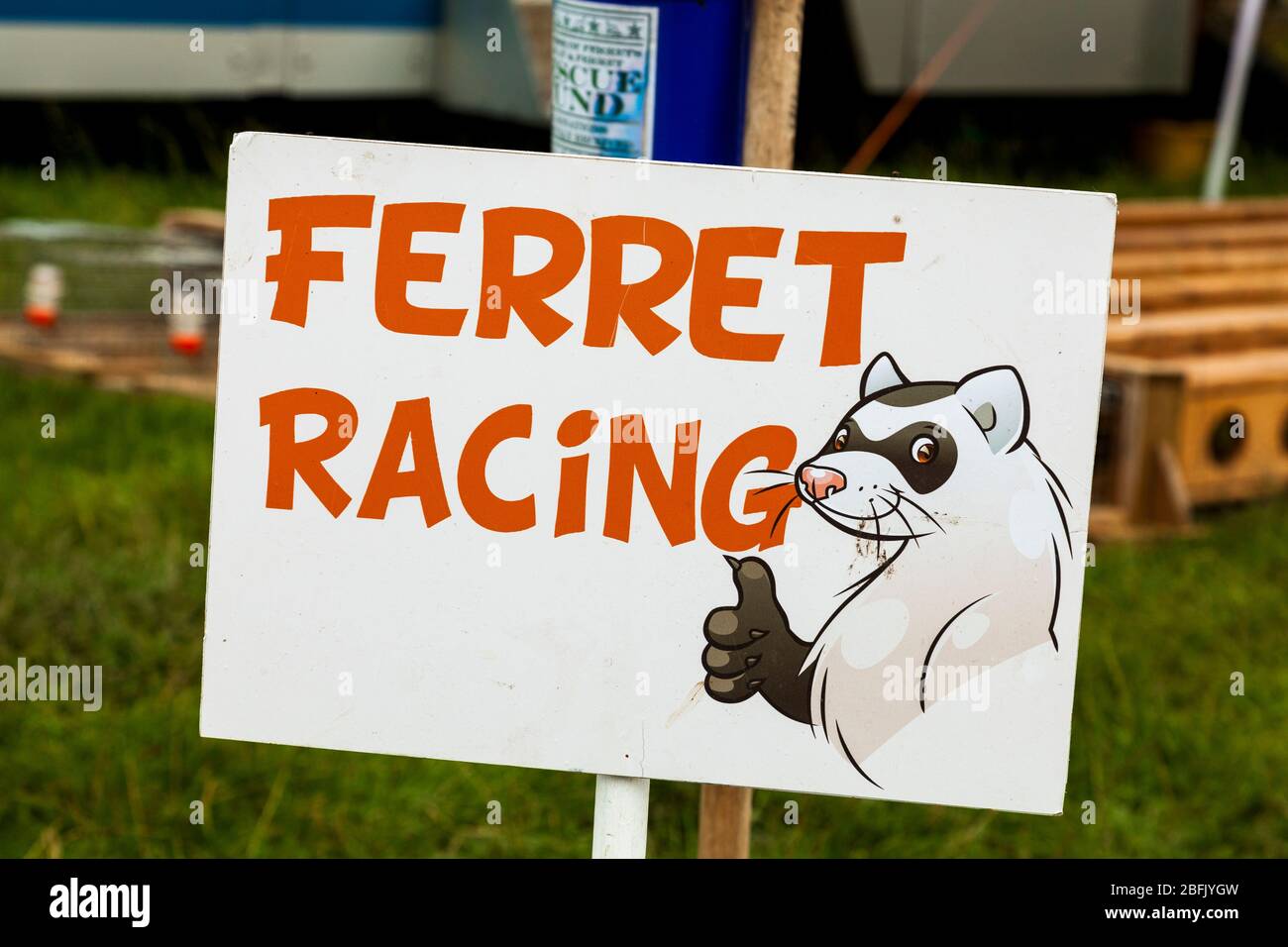 Un cartel de carreras de hurones en una feria del país en el Reino Unido Foto de stock