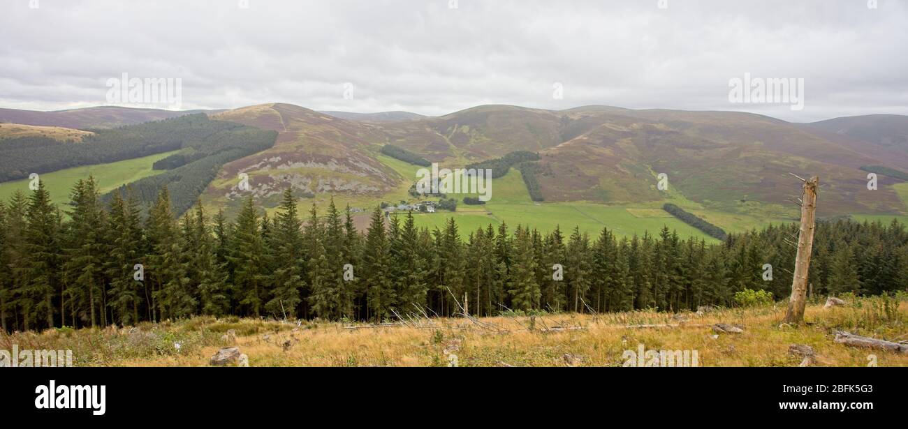 Moorland de las tierras altas del sur, mirando al otro lado del valle, desde la colina de Cademuir, cerca de Peebles, Scottish Borders, Scottish, Scotland, UK. Foto de stock