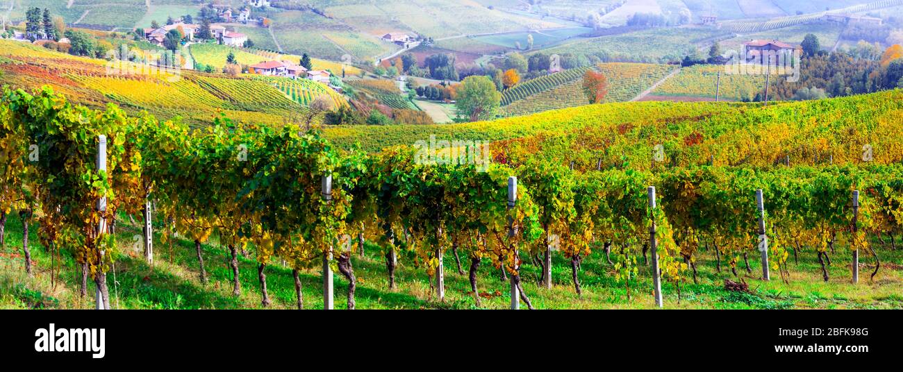 Pintoresco campo de Piamonte con viñedos amarillos y pequeños pueblos. Región vinícola de Italia. Foto de stock