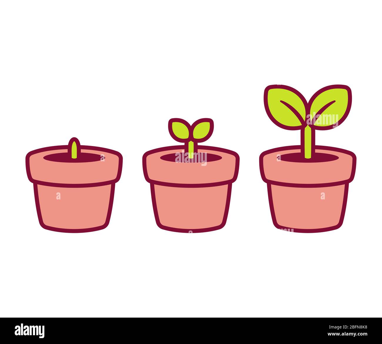 Dibujo de dibujos animados de plantas de bebés. Bonita planta en maceta en  diferentes etapas, vector aislado clip art Fotografía de stock - Alamy