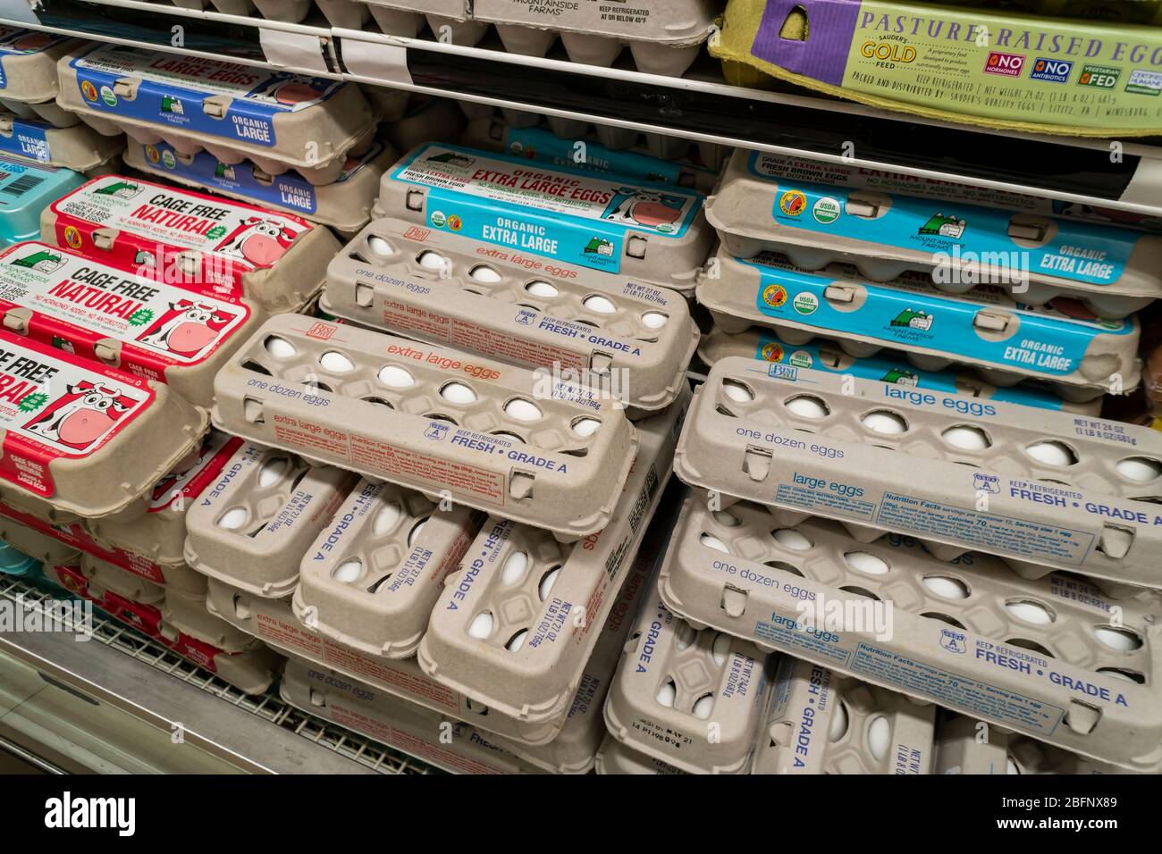 Morbosidad Injerto Presentar Cartones de huevos a la venta en un supermercado en Nueva York el martes,  14 de abril de 2020. El precio al por mayor de los huevos se ha triplicado  en el