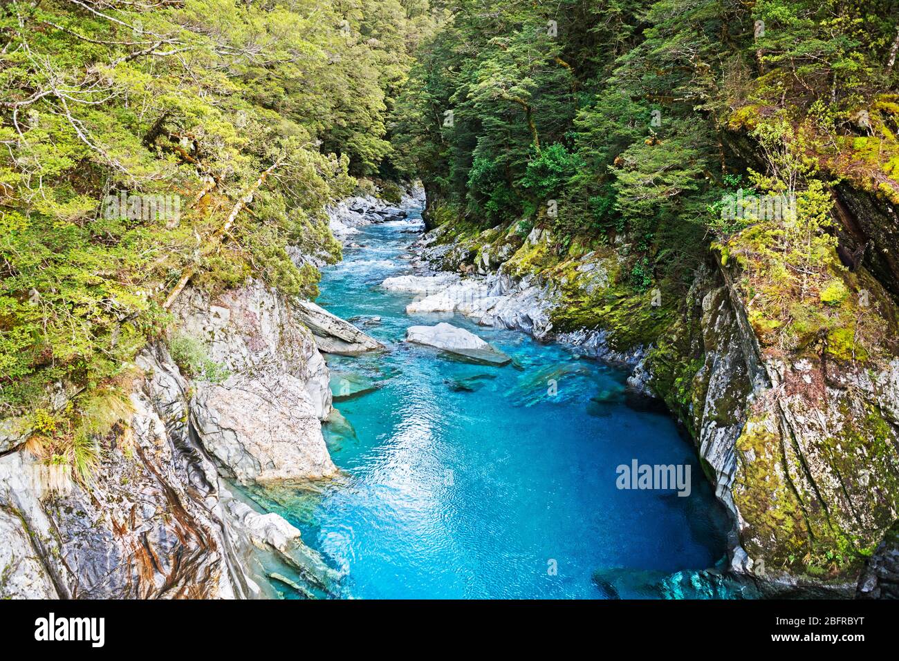 Blue Pools of Haast Pass, Parque Nacional Mt Aspiring, Isla del Sur, Nueva Zelanda, Foto de stock
