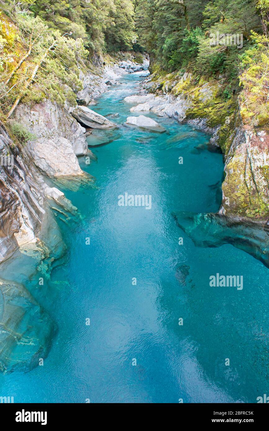 Blue Pools of Haast Pass, Parque Nacional Mt Aspiring, Isla del Sur, Nueva Zelanda, Foto de stock