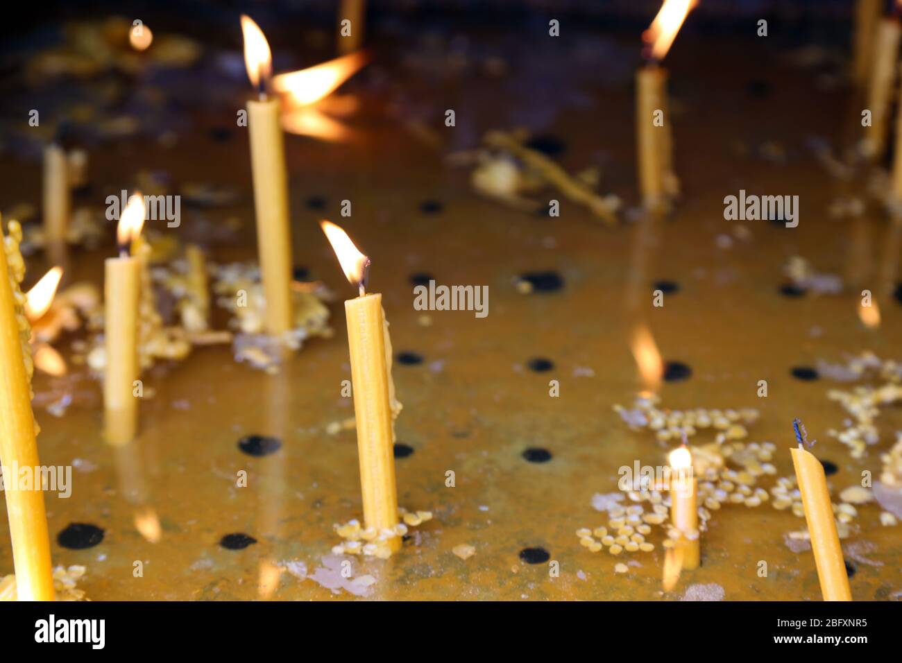 atraer envío Tranquilidad de espíritu Llama muerta fotografías e imágenes de alta resolución - Alamy