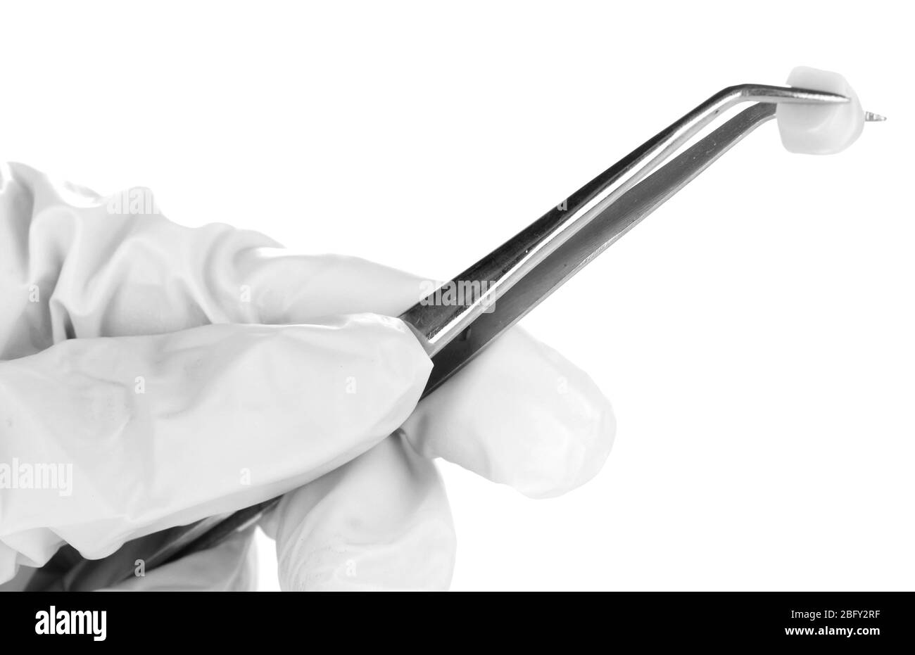 Los dentistas de manos en guantes médicos celebración pinzas con prótesis aislado en blanco Foto de stock