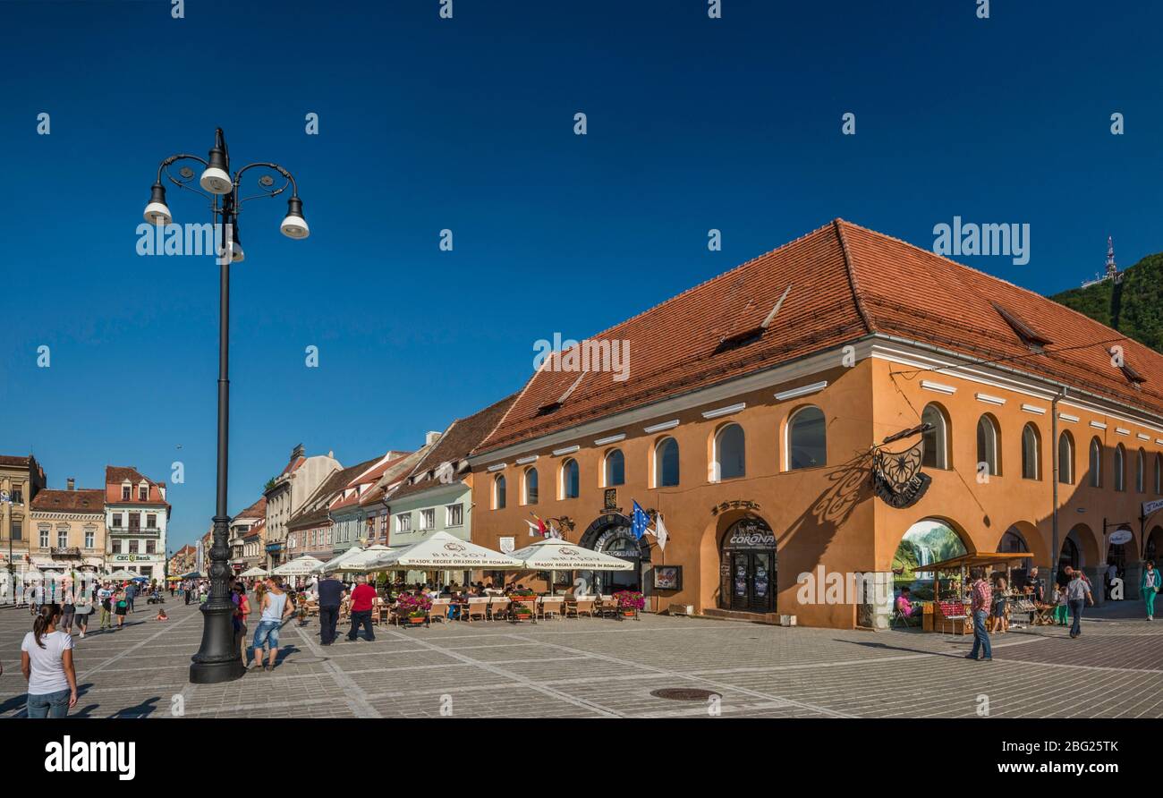 Cerbul carpatin fotografías e imágenes de alta resolución Alamy