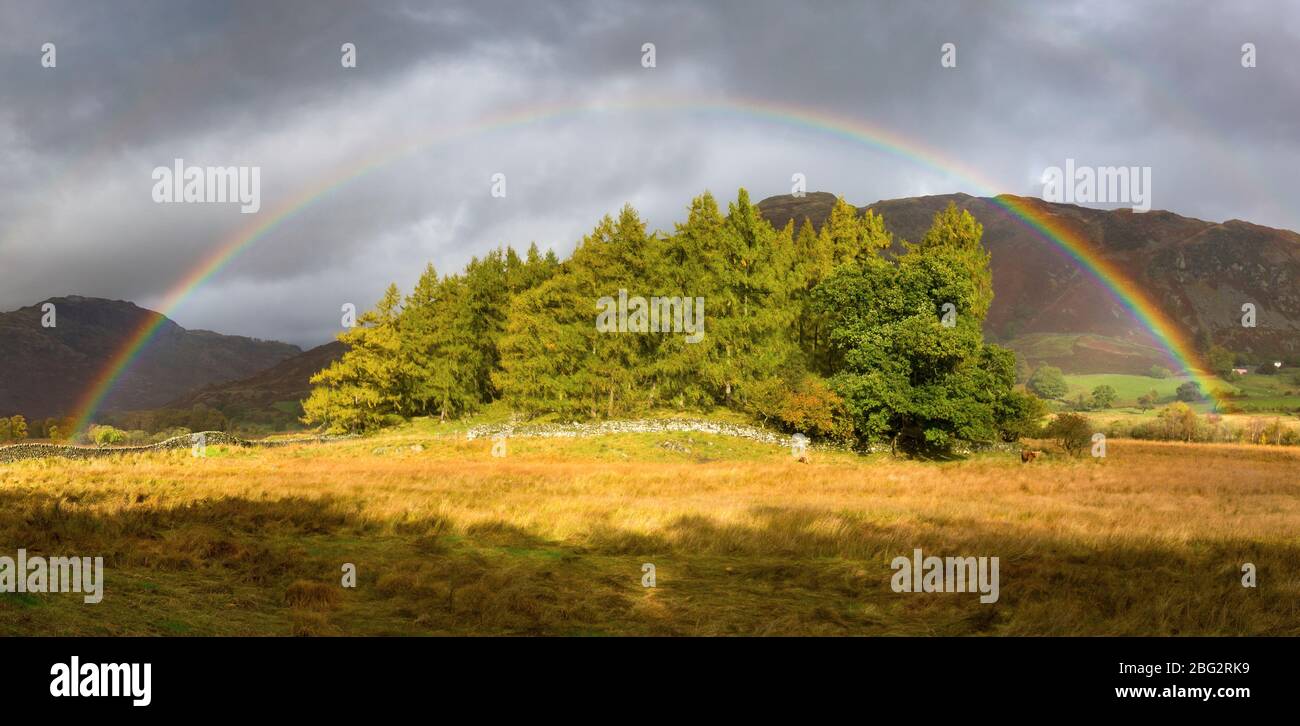 Arco iris sobre un stand de árboles en Little Langdale, Cumbria, Reino Unido Foto de stock