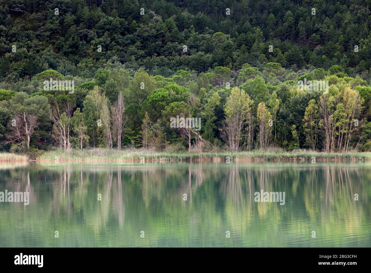 Terradets Swamp. Pallars Jussà, Pirineos, Cataluña (España, Europa) Foto de stock