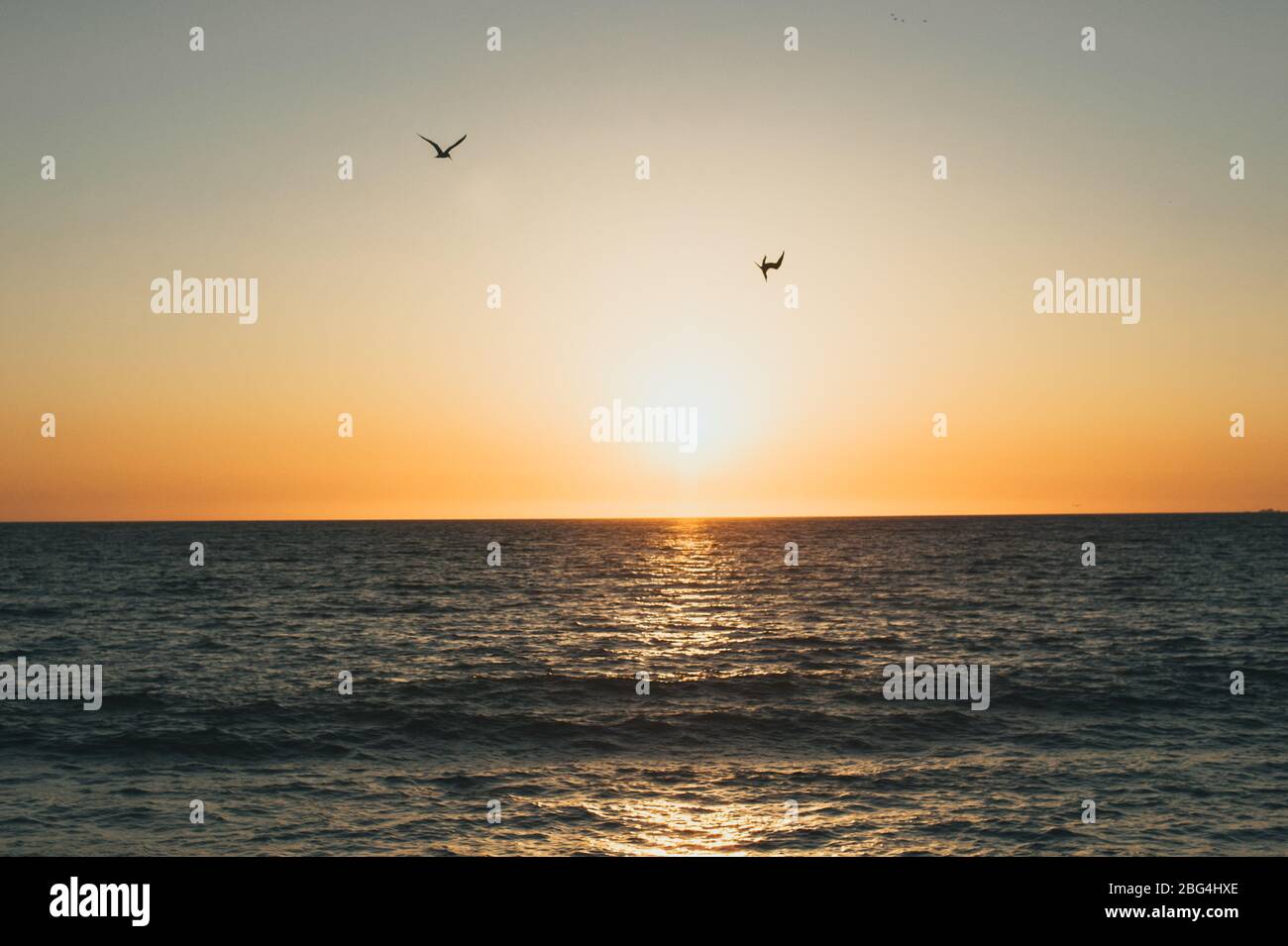 Dos aves volando sobre el Océano Pacífico mientras el sol se pone sobre el agua en México Foto de stock