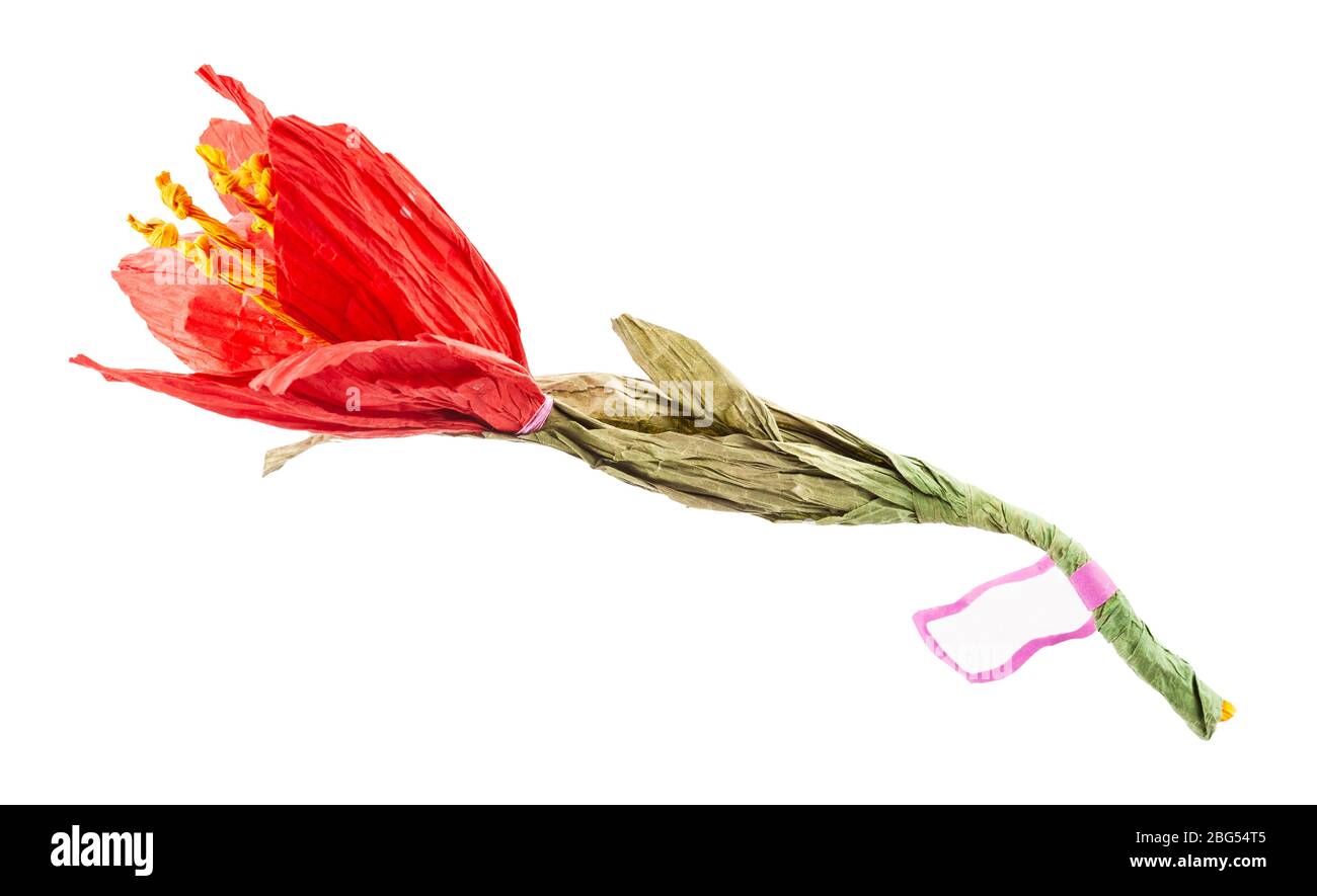 flor roja artificial hecha a mano de papel crepe con etiqueta blanca  aislada sobre fondo blanco Fotografía de stock - Alamy