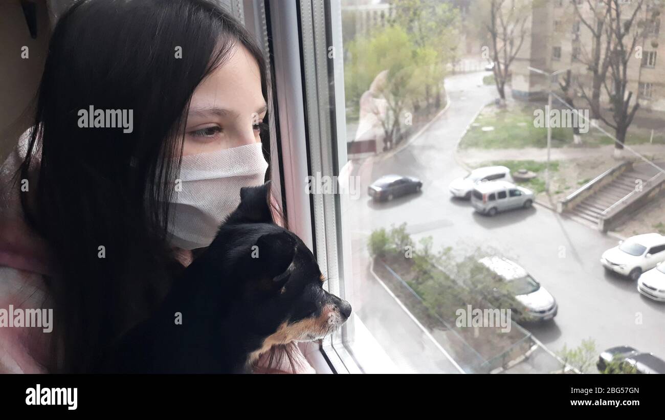 Una chica adolescente morena en una máscara médica blanca se encuentra en la ventana con un pequeño perro negro del juguete terrier breed.Concept de permanecer en casa, quedándose Foto de stock