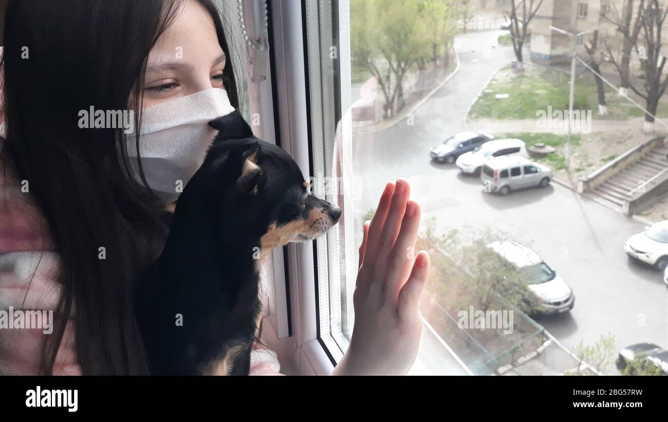 Una chica adolescente morena en una máscara médica blanca se encuentra en la ventana con un pequeño perro negro del juguete terrier breed.Concept de permanecer en casa, quedándose Foto de stock