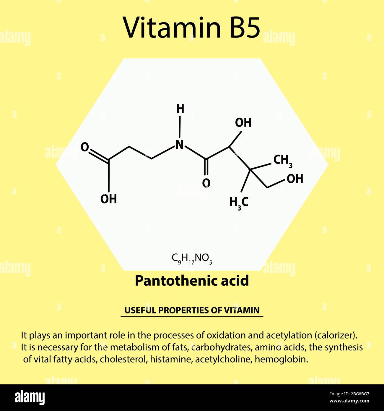 Vitamina B5. Ácido pantoténico Fórmula química molecular. Propiedades