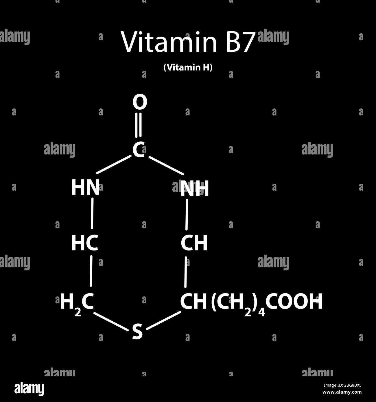Vitamina B7 Biotina Fórmula Química Molecular Infografías Ilustración Vectorial Sobre Fondo 7023