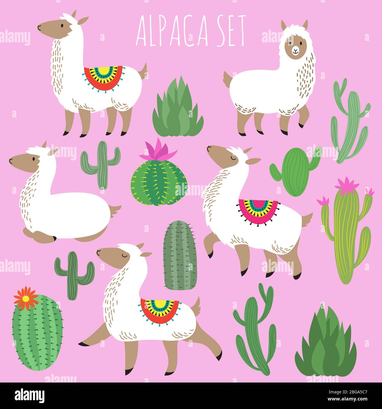 Juego de vectores de alpacas blancas mexicanas y plantas desérticas. Cartoon lama animal y cactus de la naturaleza con ilustración de flores Ilustración del Vector
