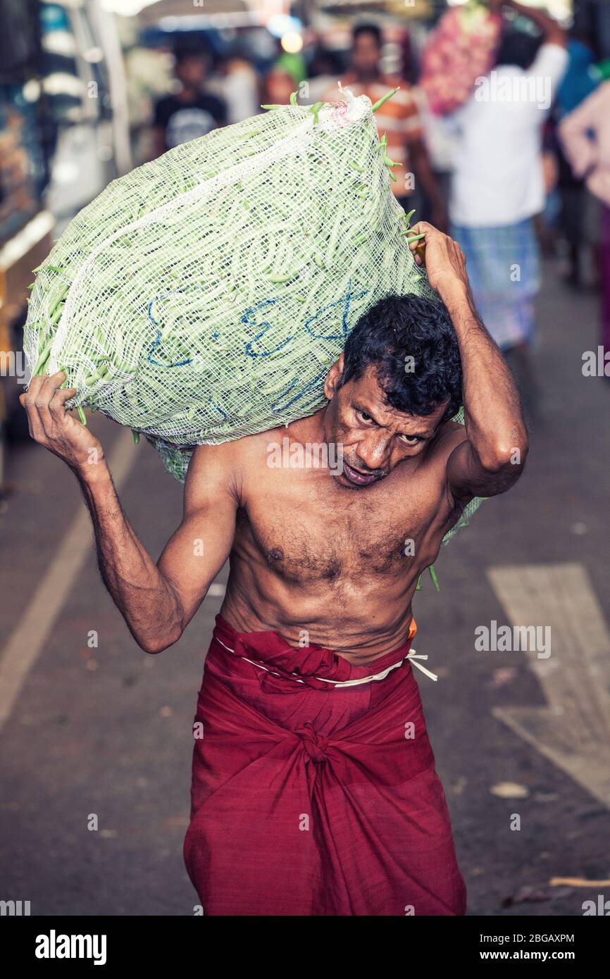 Dambulla, Sri Lanka. 23 de julio de 2016: Trabajador con saco pesado en el  mercado de
