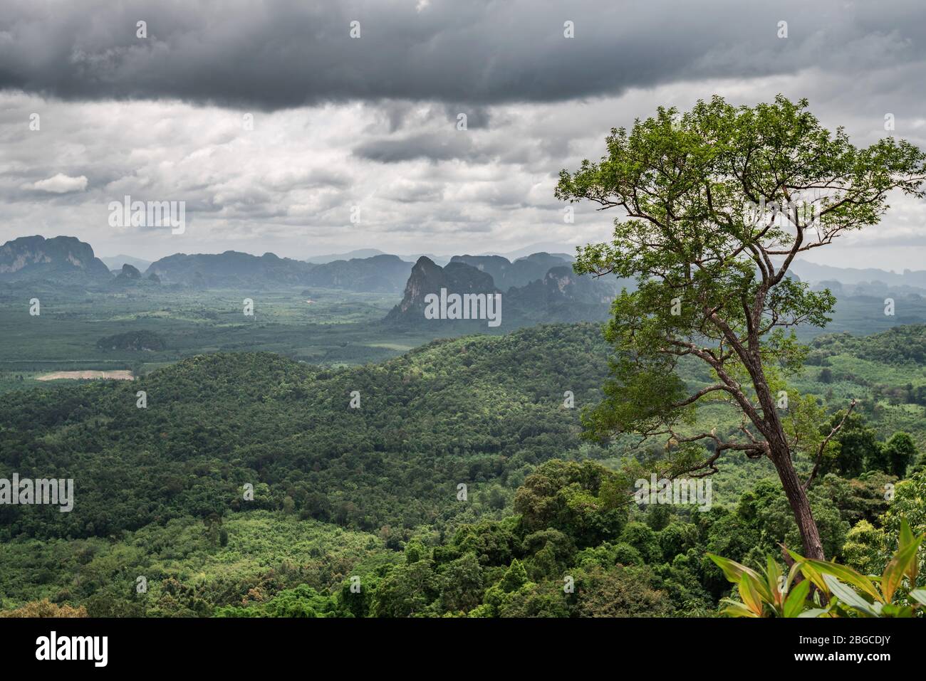 Cielo nublado, y vista de selva tropical desde el punto de vista sobre un paisaje natural con las montañas Foto de stock