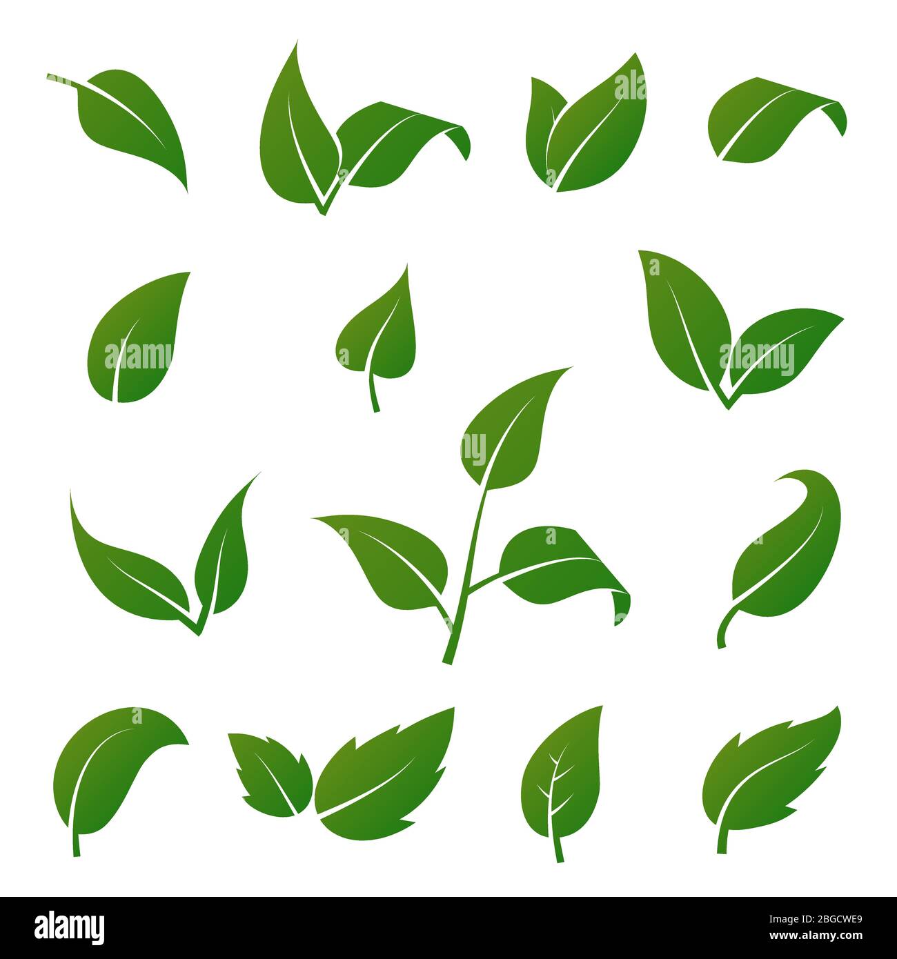 Iconos de vectores de hojas de árboles y plantas verdes aislados sobre fondo blanco. Conjunto de símbolos ecológicos. Hoja verde vegetal, ilustración floral natural orgánica Ilustración del Vector