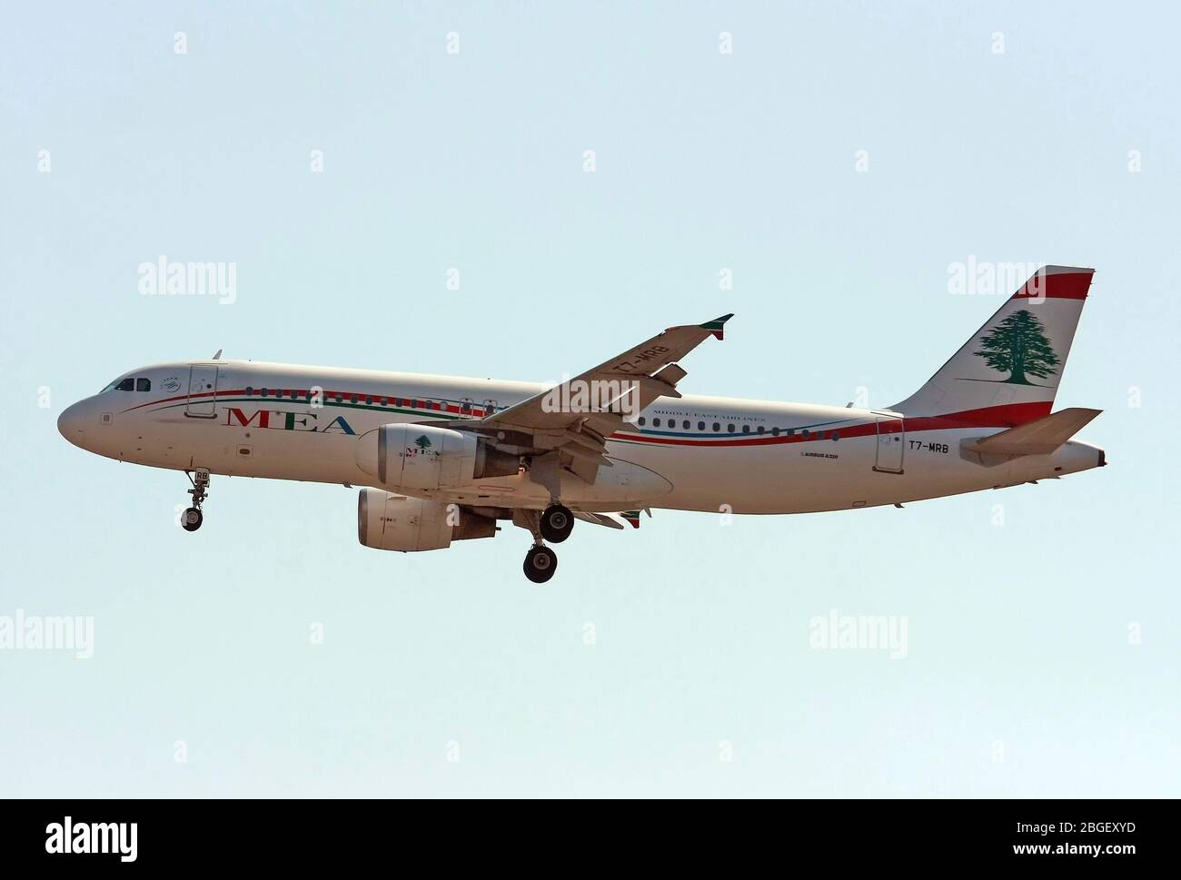 T7-MRB MEA - Middle East Airlines Airbus A320-214 en Malpensa (MXP / LIMC), Milán, Italia Foto de stock