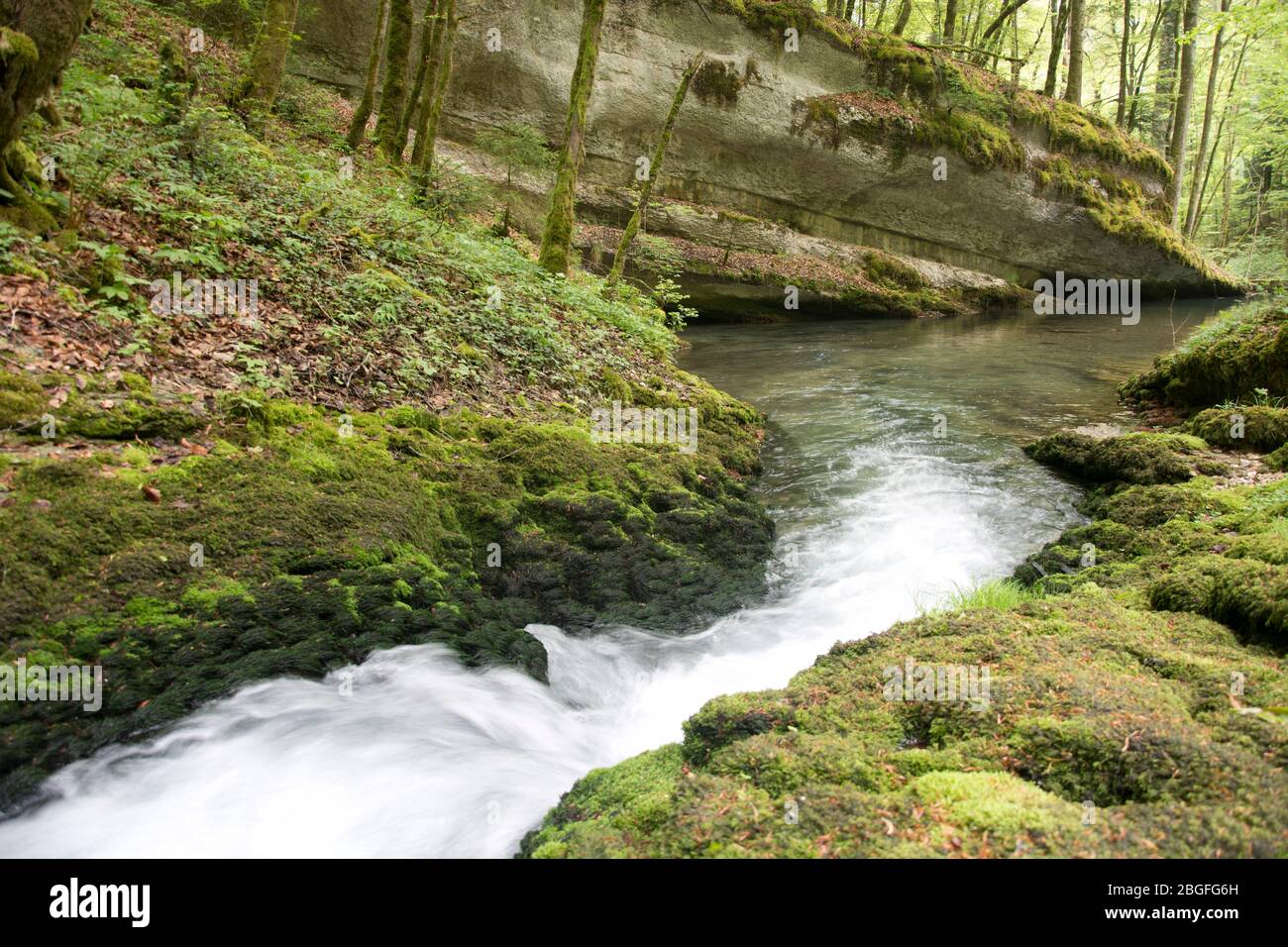 Die Karstquelle des Dou im Berner Jura, Schweiz Foto de stock