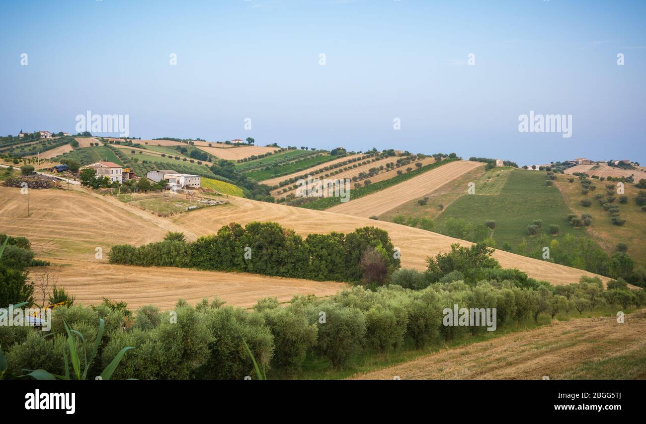 Paisaje rural a lo largo de la carretera de Sant'Egidio alla Vibrata a Civitella del Tronto en verano - región de Abruzzo en Italia - Europa Foto de stock
