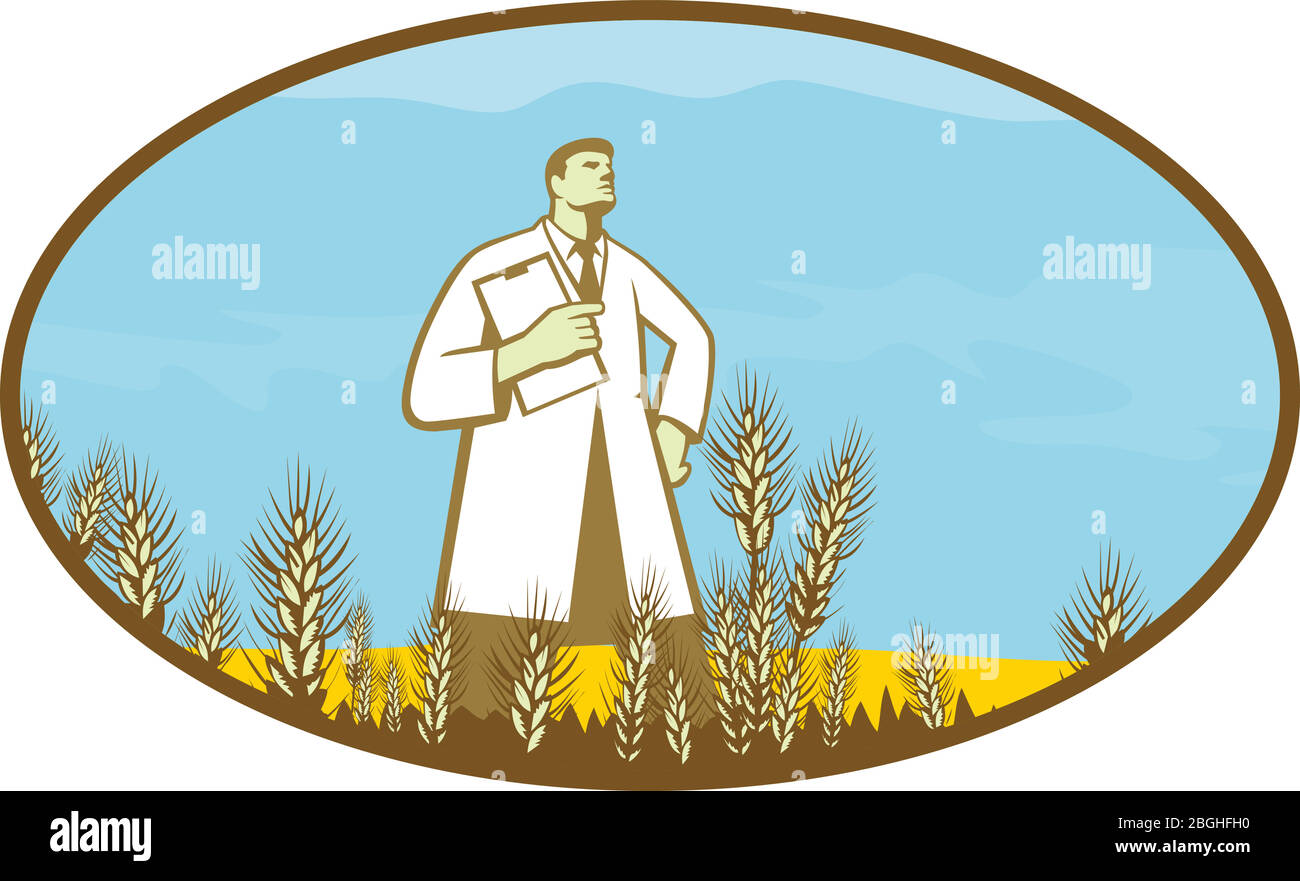 Ilustración de estilo retro de un científico, investigador de pie en medio del campo de trigo modificado genéticamente fijado dentro de forma oval en backgroun aislado Ilustración del Vector