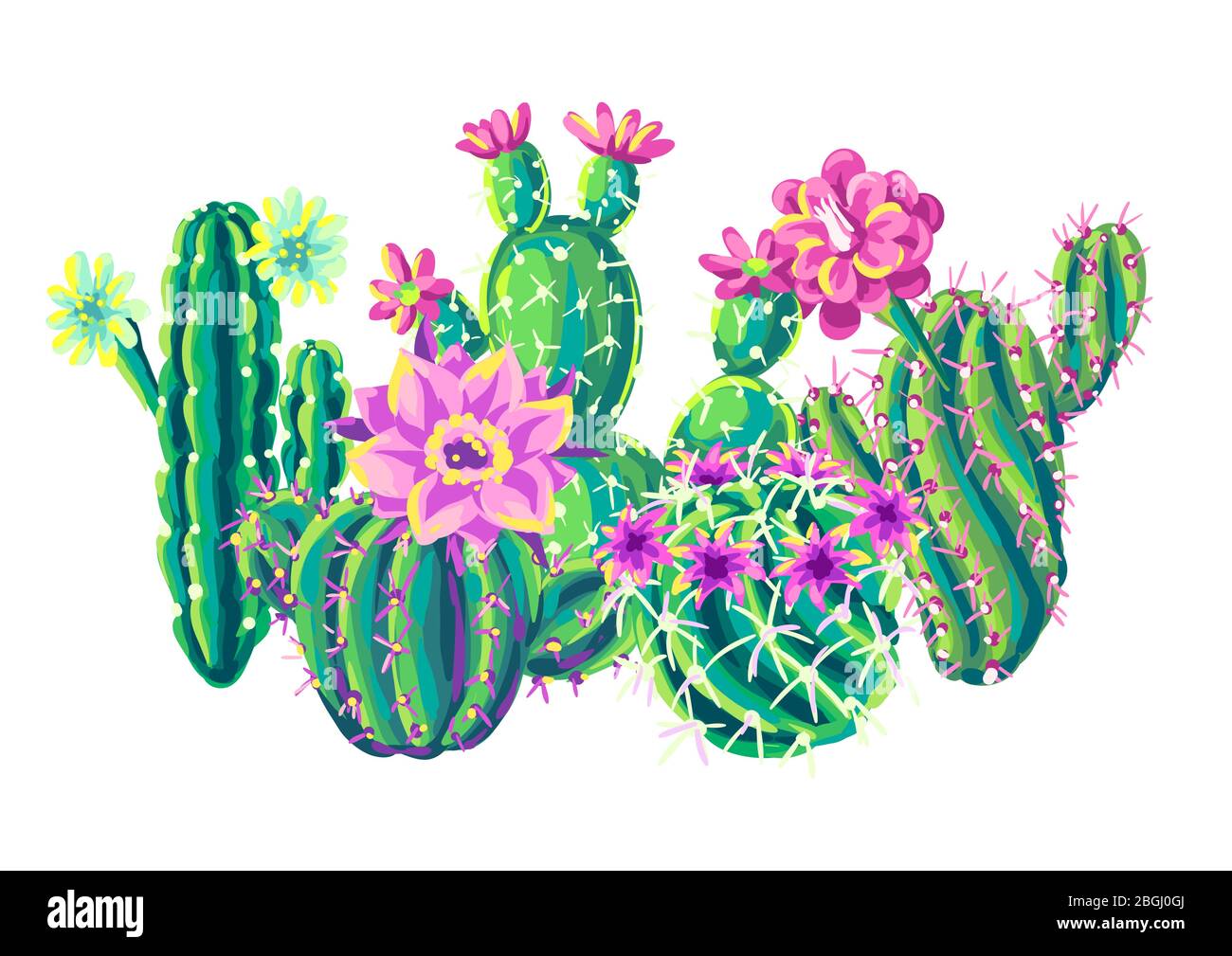 Fondo con cactus y flores Imagen Vector de stock - Alamy