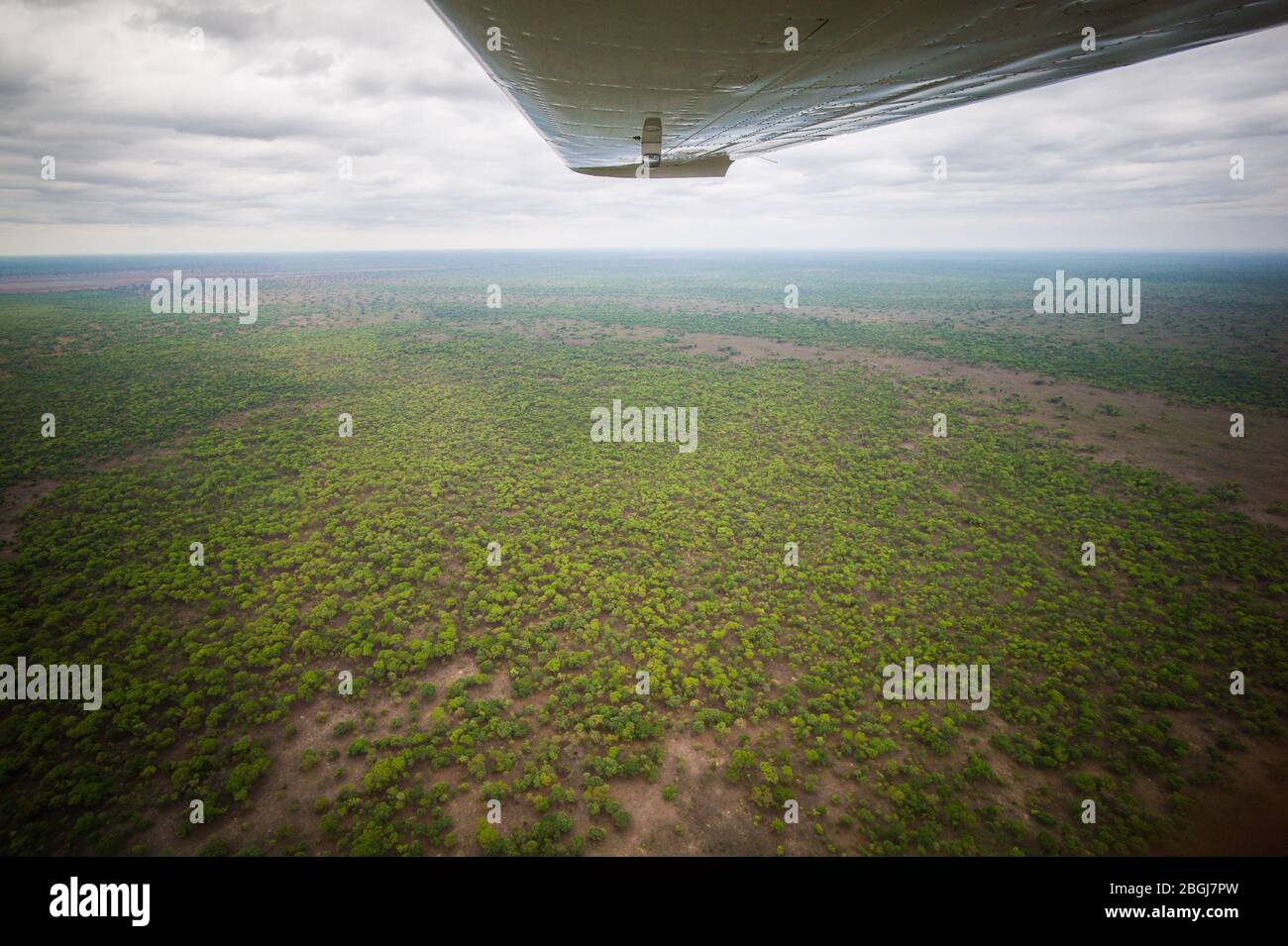 Vista aérea de los bosques de miombo, el Parque Nacional Kafue, provincia del noroeste, Zambia desde el traslado en avión pequeño hasta el campamento de safari. Foto de stock