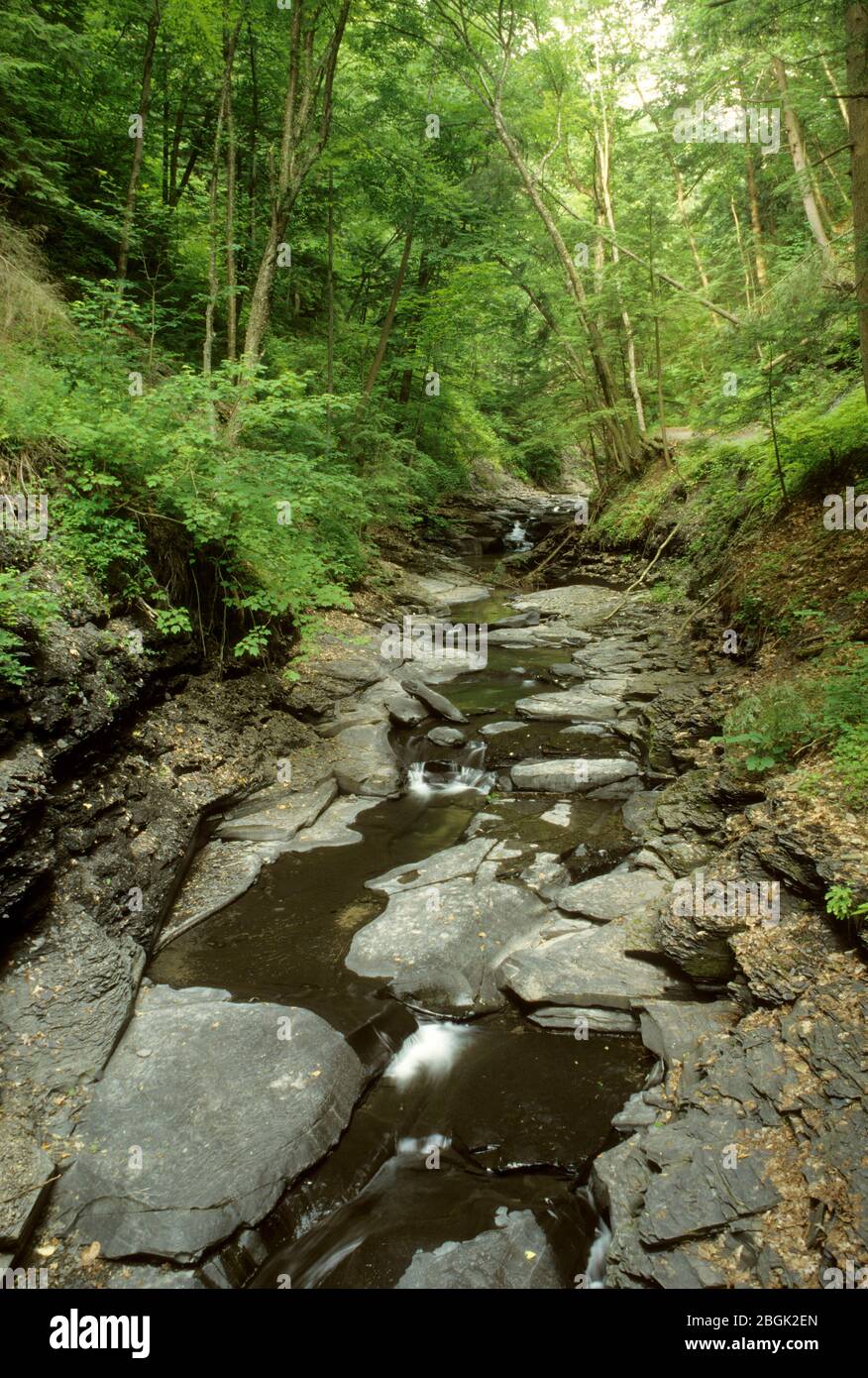 Dry Creek, Fillmore Glen State Park, Nueva York Foto de stock