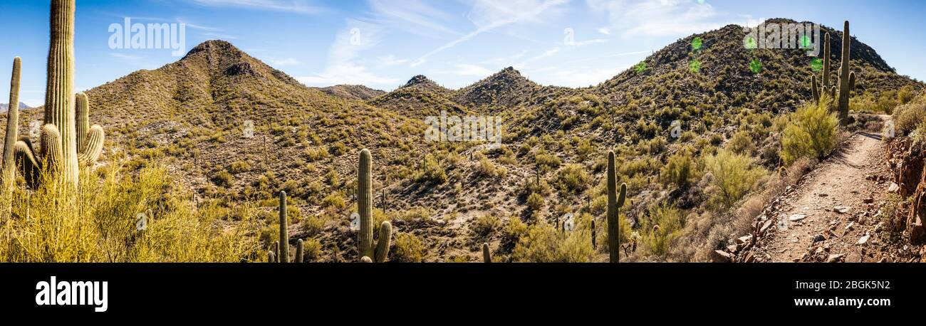Un panorama en la sección Apache Wash de la reserva del desierto de Phoenix Sonoran, Arizona, EE.UU. Foto de stock
