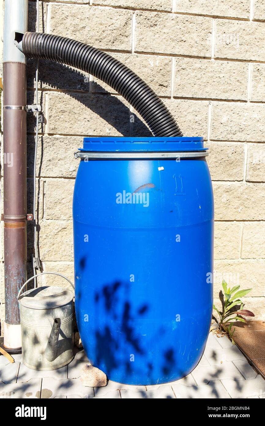 Barril de agua de plástico azul. Riego del jardín. Ahorro de agua.  Suministro de agua para verano seco. Drenaje de agua de lluvia Fotografía  de stock - Alamy