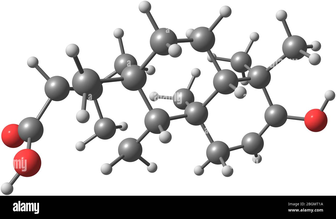El esteviol es un diterpeno aislado por primera vez de la planta Stevia