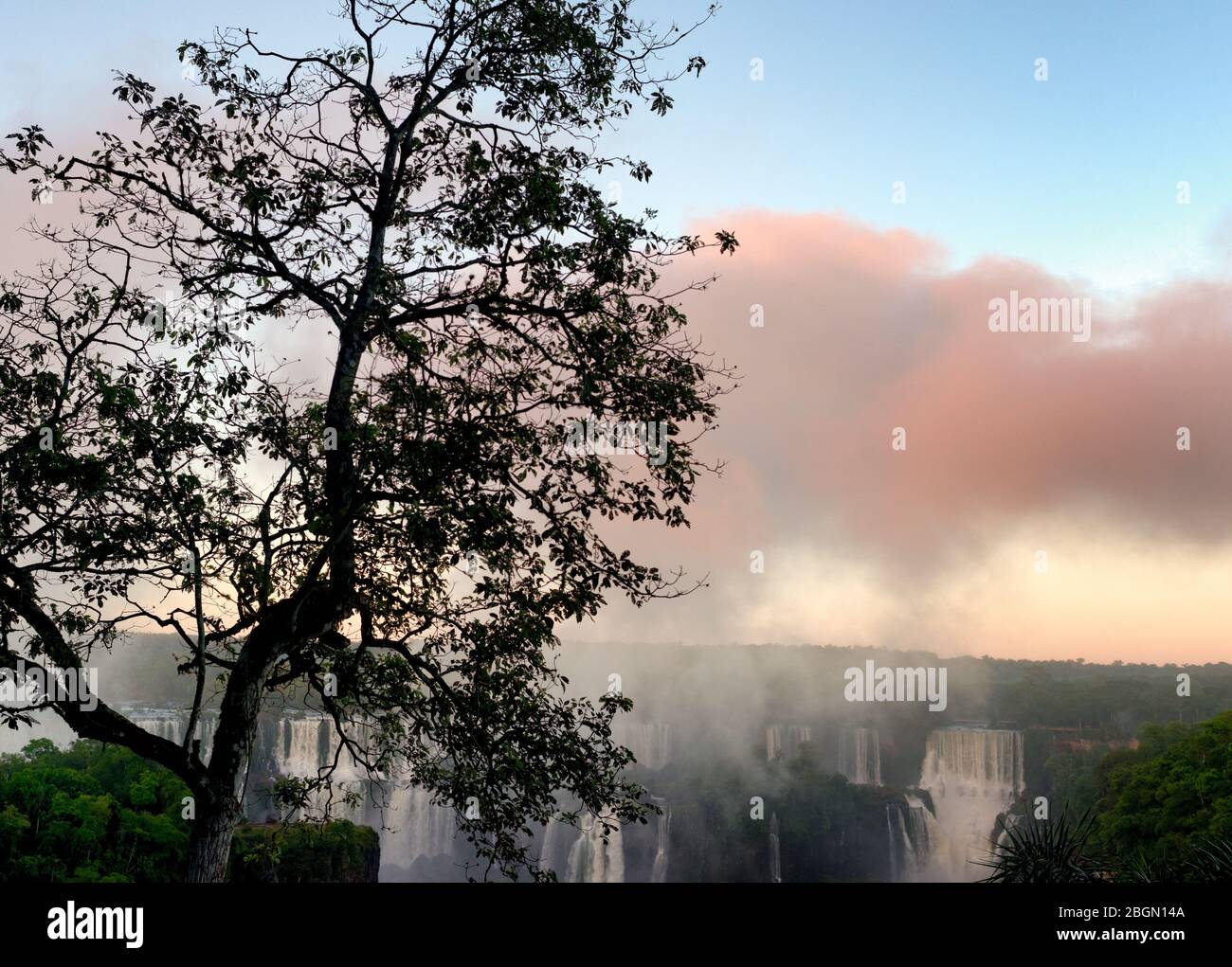 Marcos de árboles por nubes de agua pulverizada procedentes de las cataratas de Iguacu, Brasil, Sudamérica Foto de stock