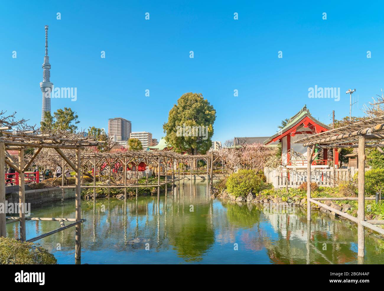 Pérgola japonesa fotografías e imágenes de alta resolución Alamy