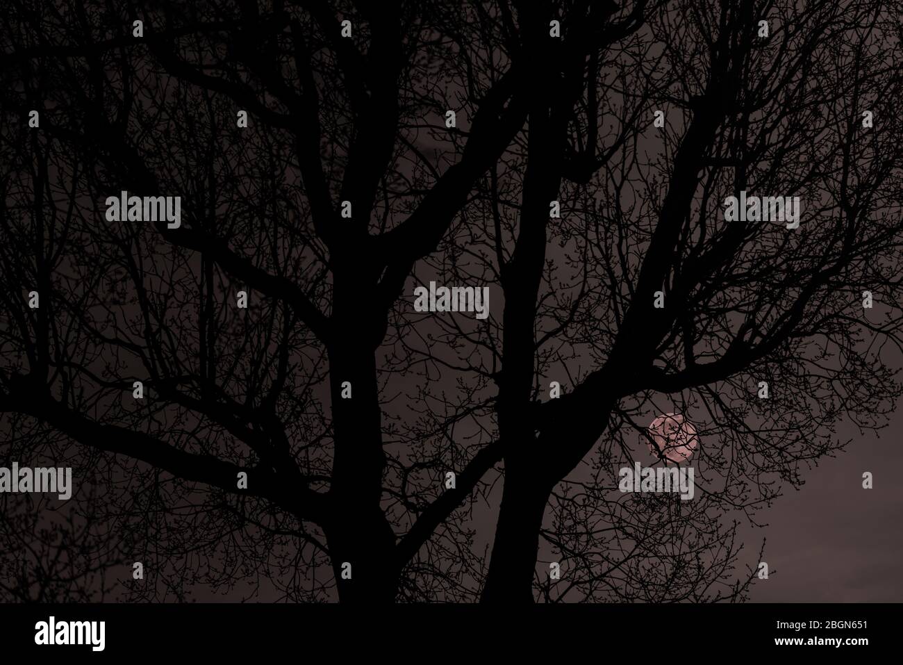 La primera luna llena de primavera fotografías e imágenes de alta resolución Alamy
