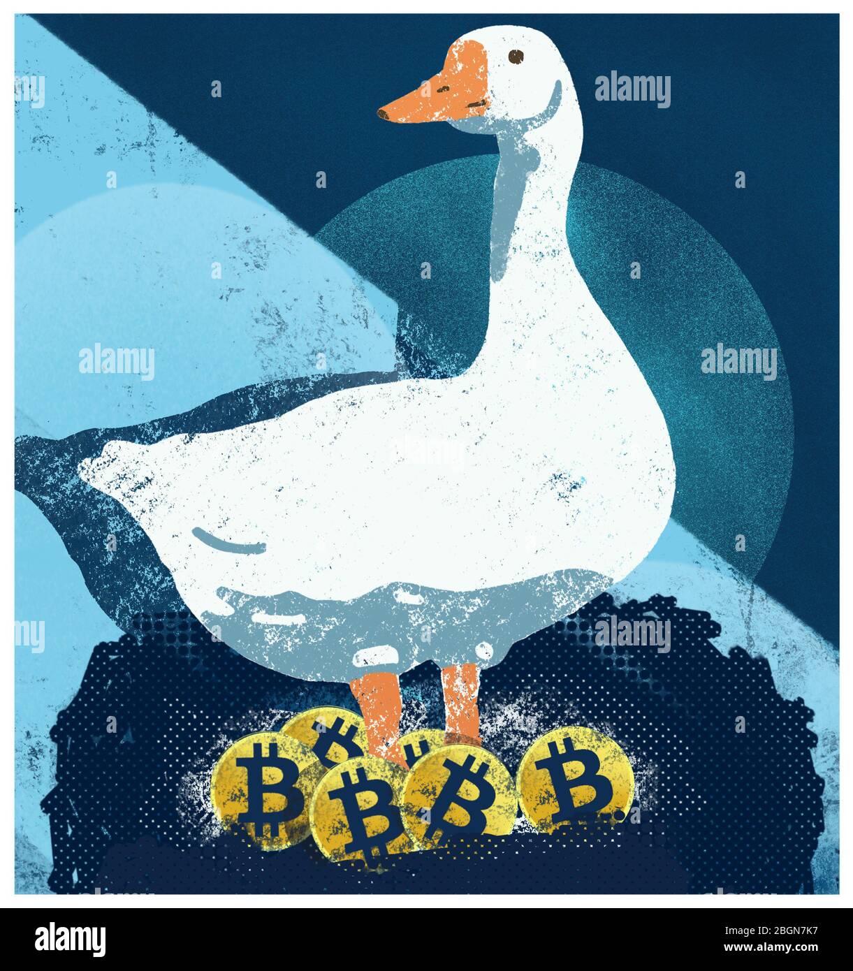 Gallina de los Bitcoin doradas. Goose erguido sobre su Bitcoins. Bitcoins ganancias. Foto de stock