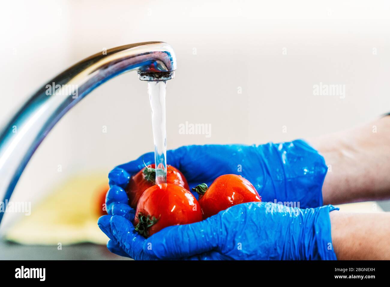 Manos con guantes de látex desinfectando los tomates fruta con agua y lejía. Medidas Covid 19. Foto de stock