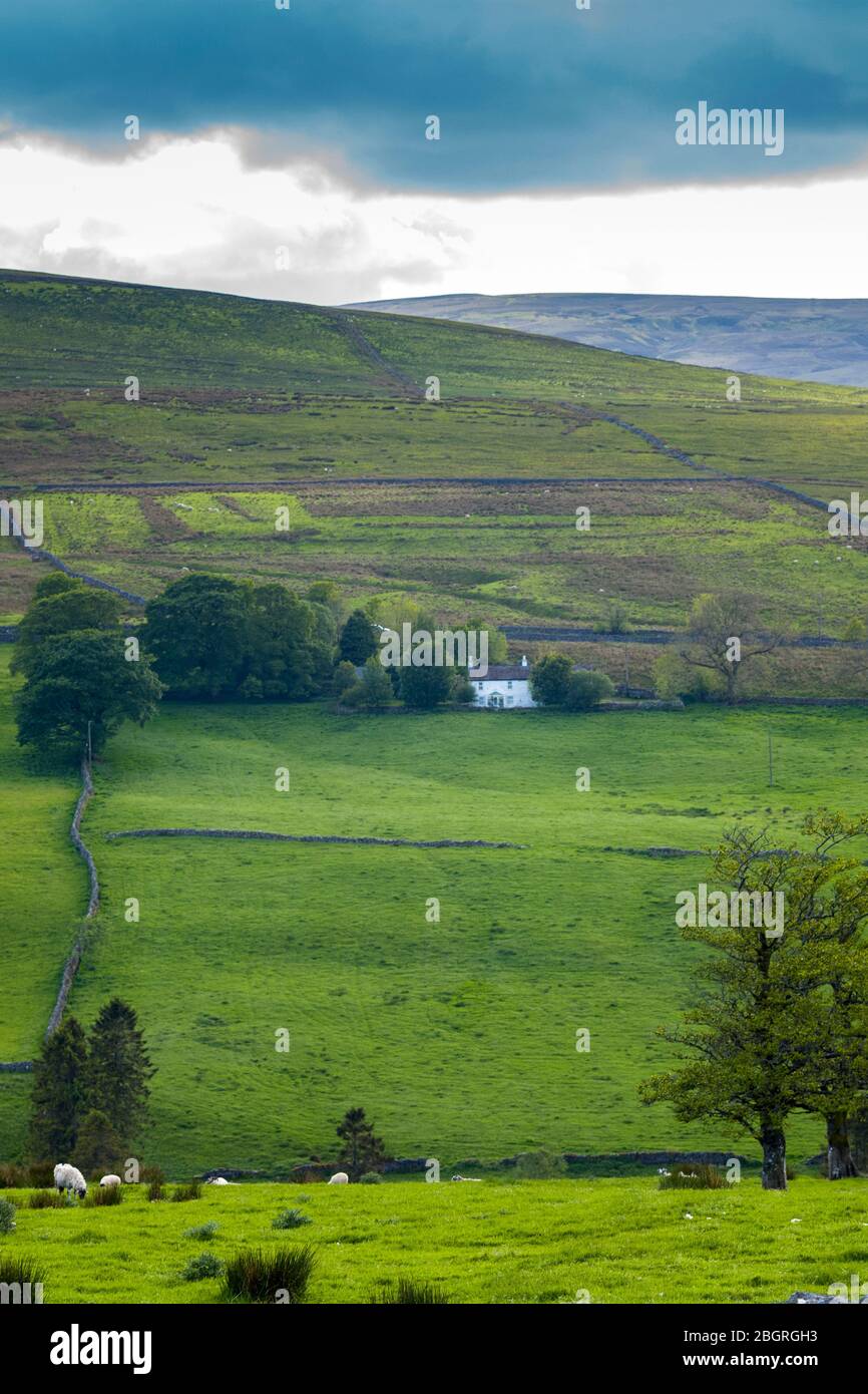 Homestead en el pintoresco paisaje en el Parque Nacional de Northumberland cerca de Walltown Crags, Inglaterra Foto de stock