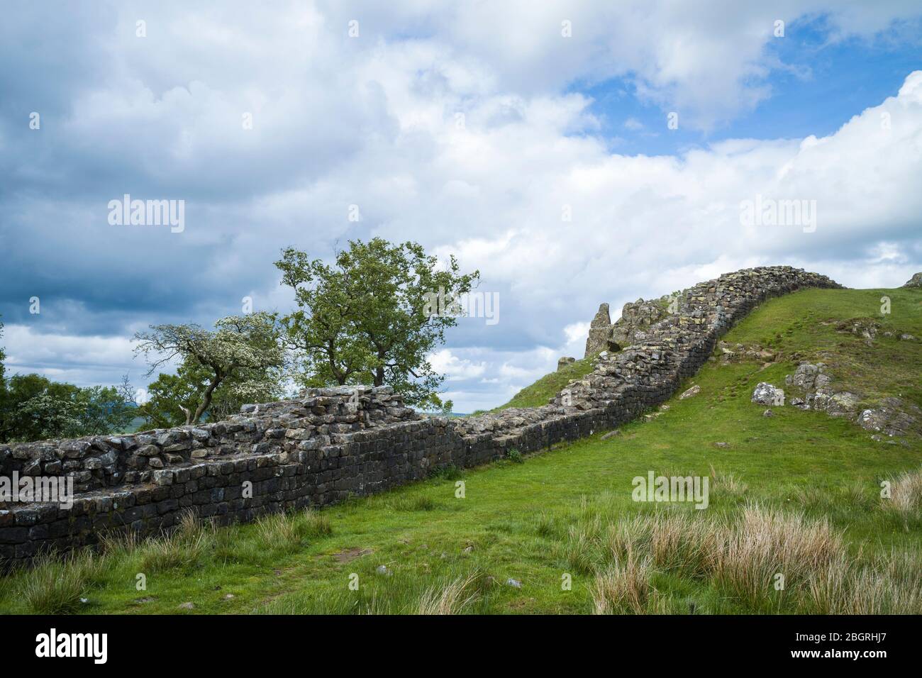 Muro de Adriano, límite de construcción de piedra en el Parque Nacional de Northumberland en Walltown Crags, Inglaterra Foto de stock