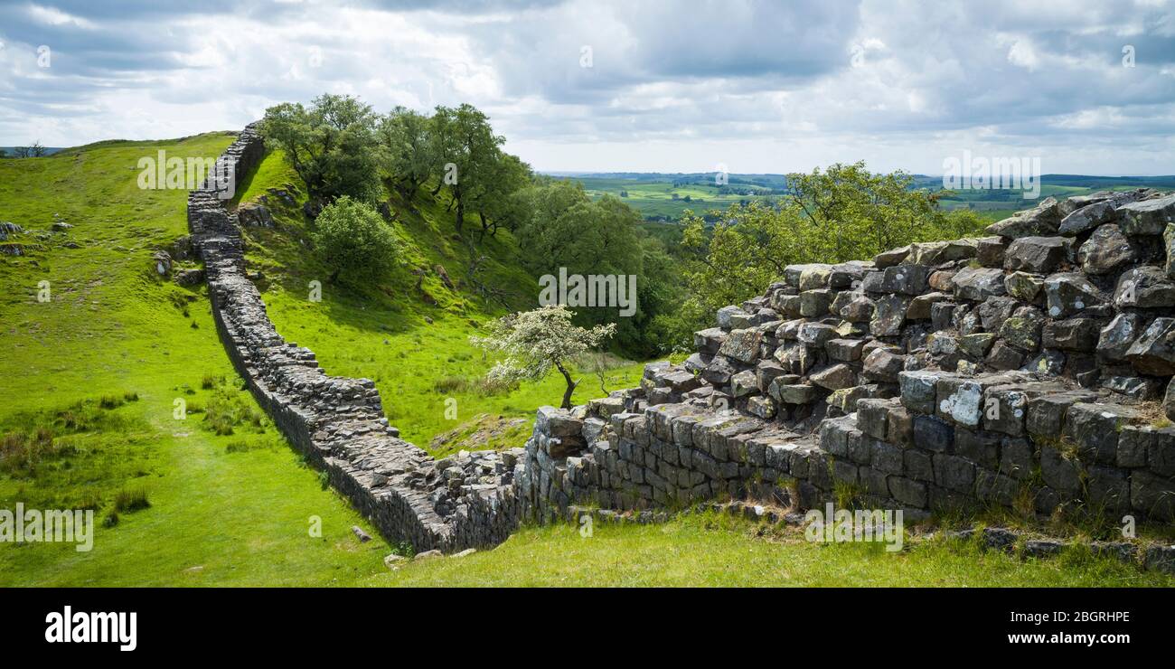 Muro de Adriano, límite de construcción de piedra en el Parque Nacional de Northumberland en Walltown Crags, Inglaterra Foto de stock